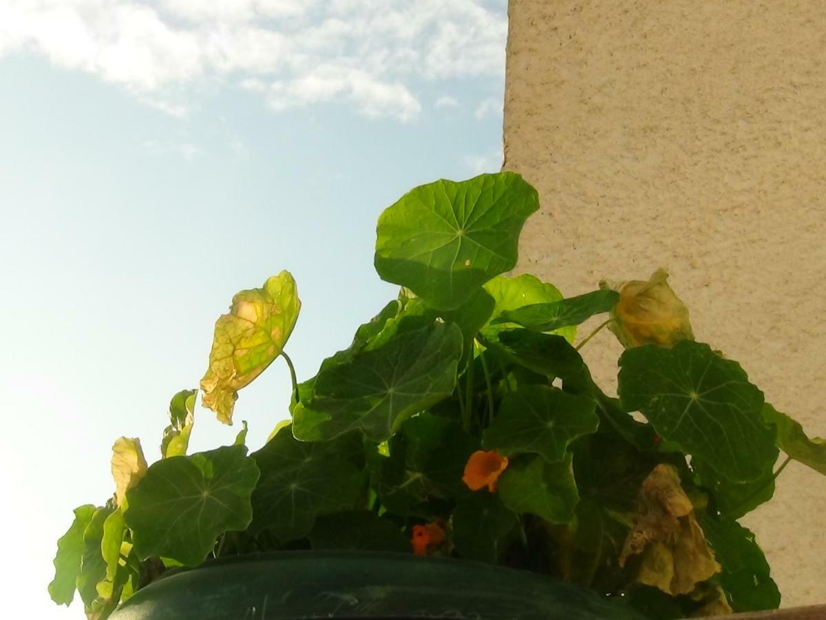 Sunset Sea View Apartment Atenas Exterior foto
